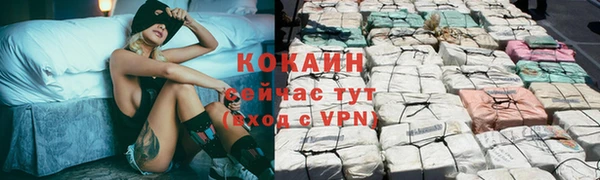 PSILOCYBIN Пролетарск