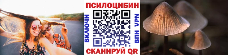 Галлюциногенные грибы Magic Shrooms Североморск