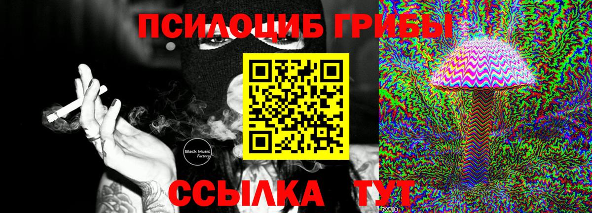 Североморск  Галлюциногенные грибы Magic Shrooms  Галлюциногенные грибы Psilocybine cubensis  Вход с VPN 
